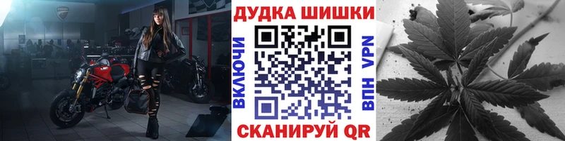 Купить  Онега  Канабис планчик 